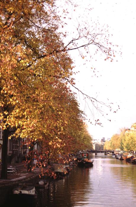 04-008