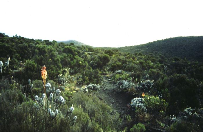 06-36
