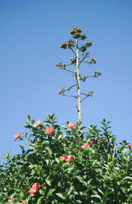 08-003