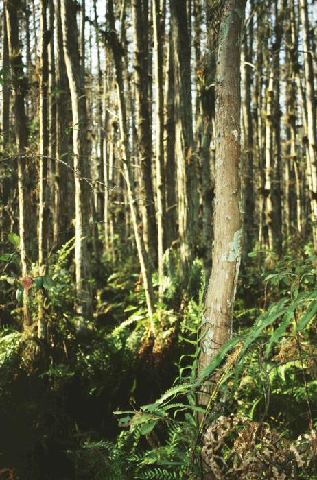 14-021