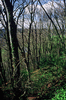 35-030