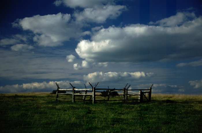37-009