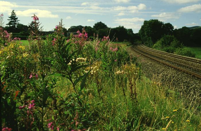 50-015