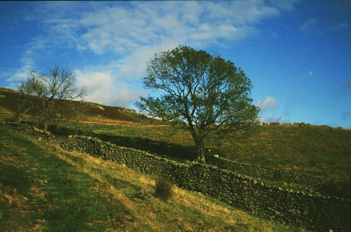 51-004