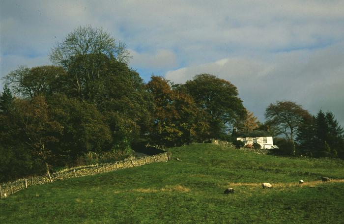 51-005