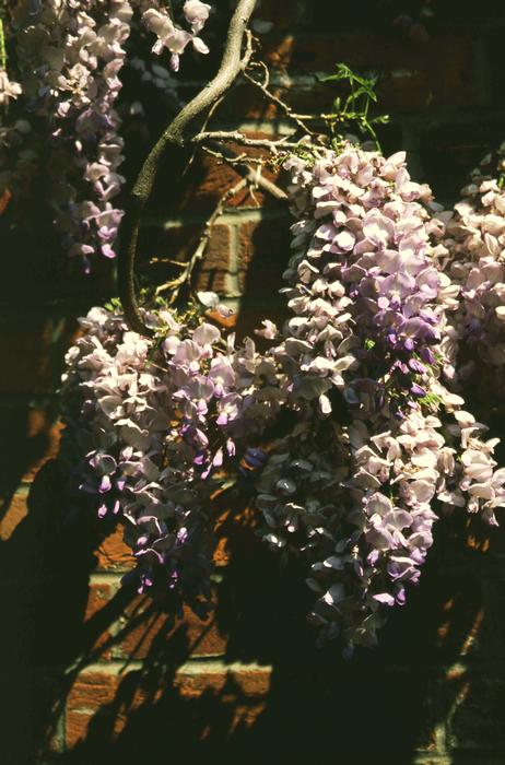 54-020