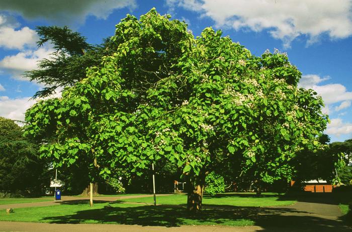 55-019
