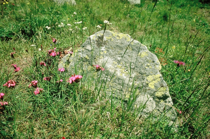 68-022