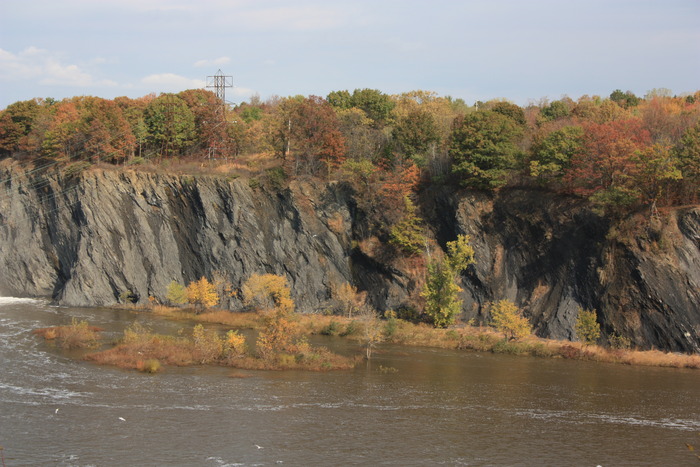 d003-437