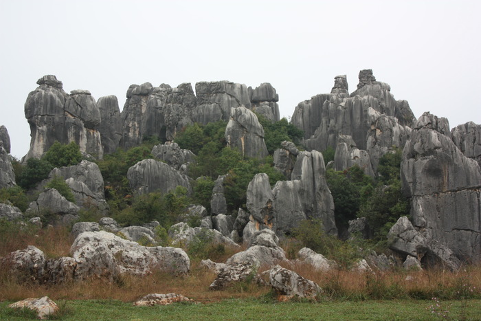 d003-489