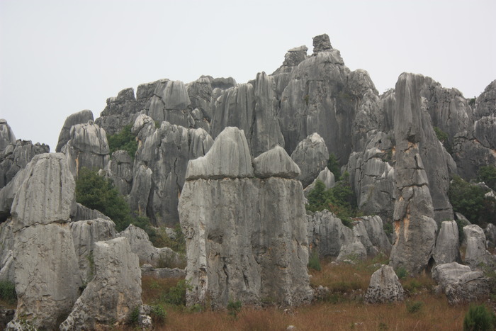d003-491