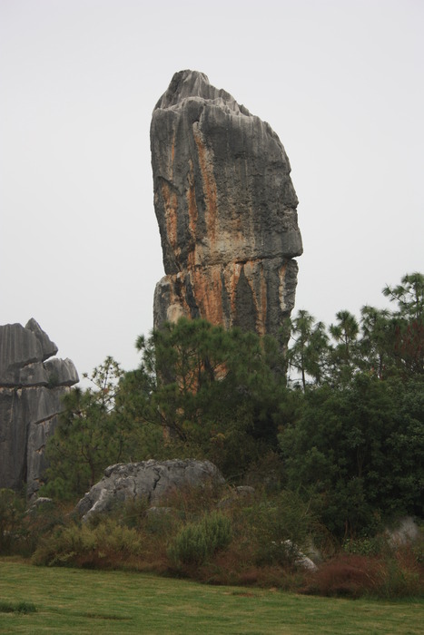 d003-493
