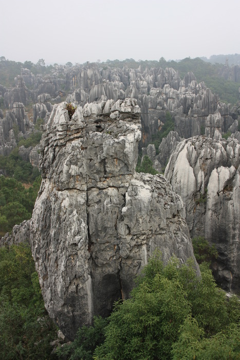 d003-495