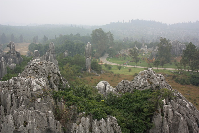 d003-496