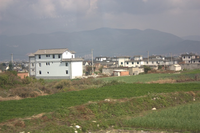 d003-513