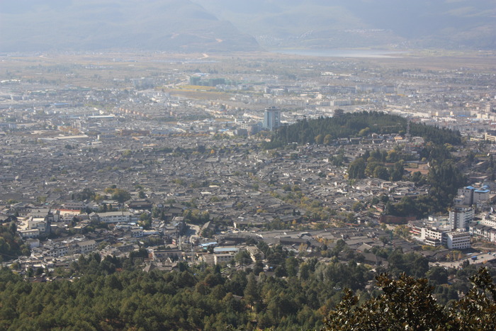 d003-610