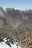 d005-919