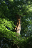 d006-1069w