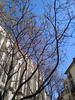 etc-220416_145530