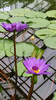 etc-230515_WA0004