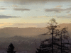 etc-240211_171938