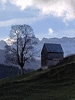 etc-240213_114134