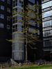 etc-241030_123151