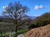 etc-260413_102615