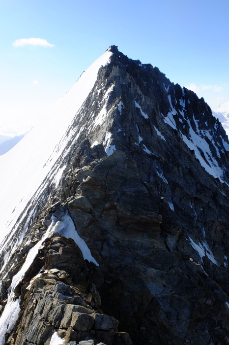 f001-0091