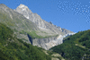 f001-0075