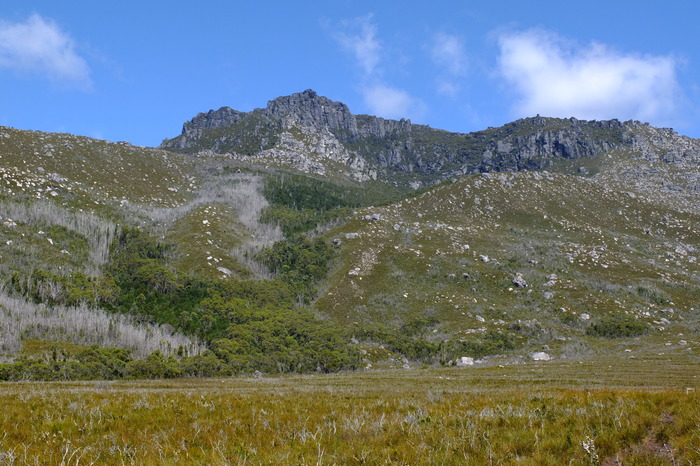 f002-0479