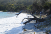 f002-0417