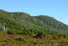 f002-0497