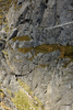 f004-0606