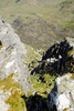 f004-0667