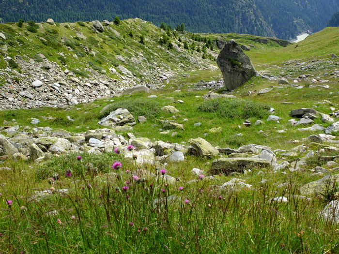 f005-1071