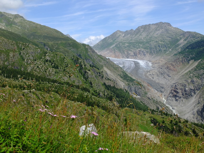 f005-1077
