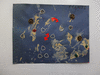 f005-1023