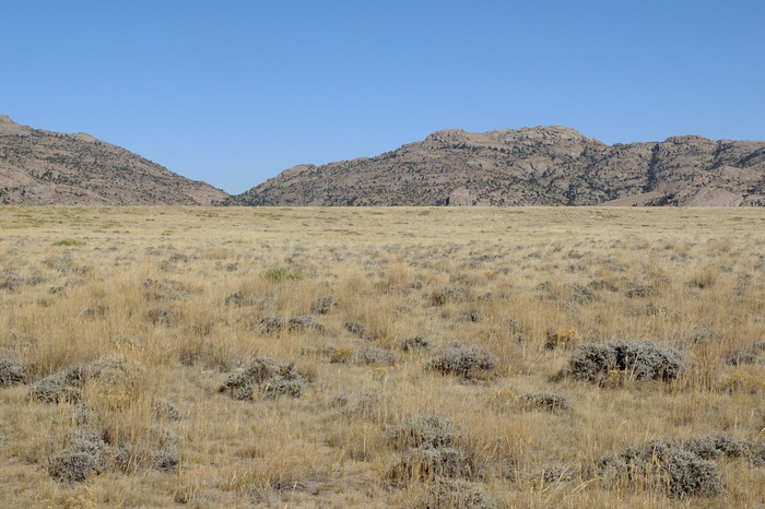 f018-2636