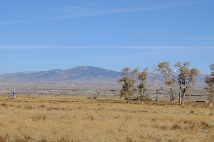 f018-2653