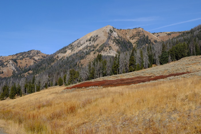 f018-2665