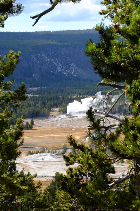 f018-2711