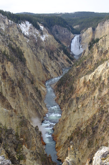 f018-2751