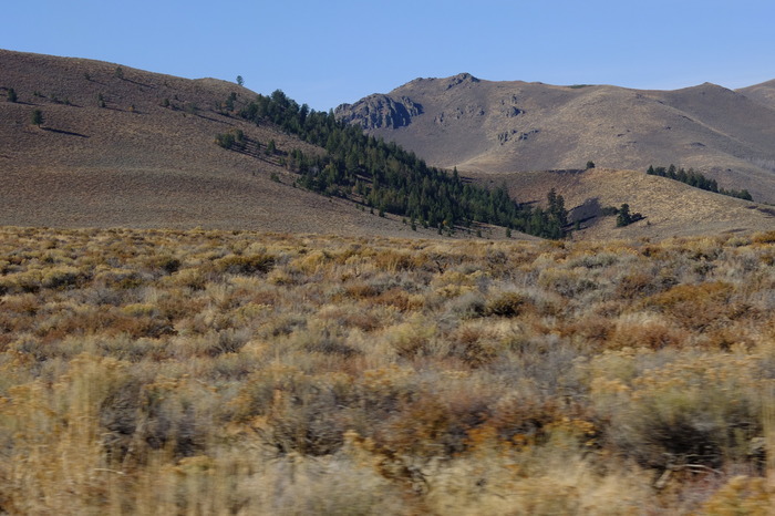 f018-2773