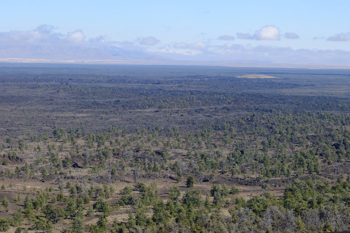 f018-2782