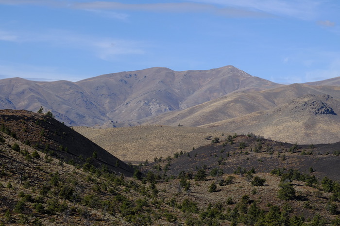 f018-2783