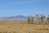 f018-2653