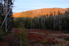 f018-2681b