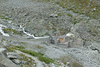 f019-3608