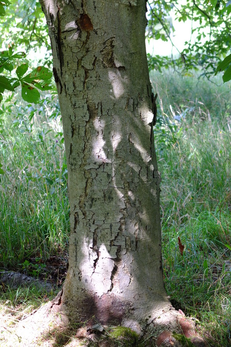 f020-5261
